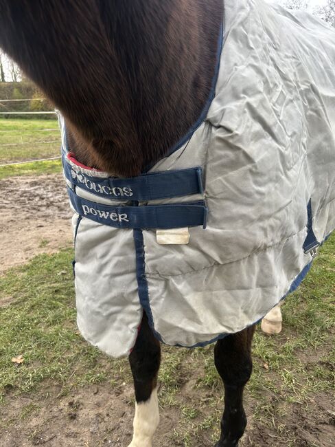 Bucas Power turnout medium 100g 145cm, Bucas Bucas Power turnout medium, Stefanie, Horse Blankets, Sheets & Coolers, Solingen