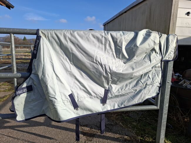 Bucas power turnout medium 140cm, Bucas Power Turnout, Lucyas, Horse Blankets, Sheets & Coolers, Kölliken