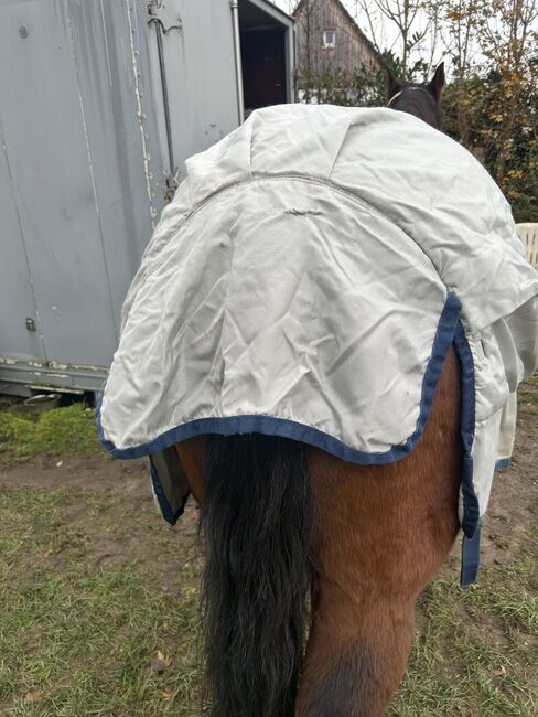 Bucas Power turnout medium 100g 145cm, Bucas Bucas Power turnout medium, Stefanie, Horse Blankets, Sheets & Coolers, Solingen, Image 3