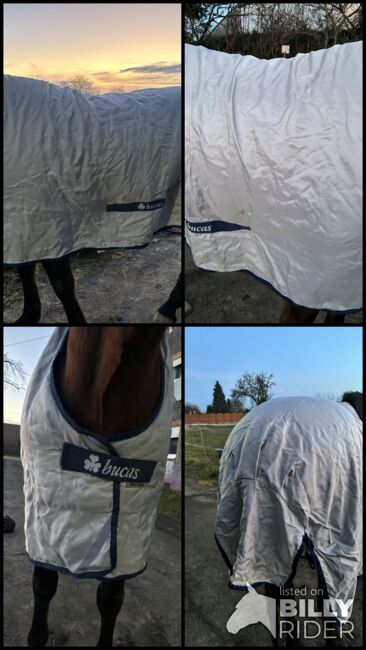 Bucas Power Turnout light in 145, Bucas  Power Turnout , Leonie, Horse Blankets, Sheets & Coolers, Petp, Image 5