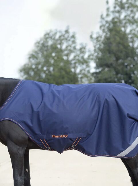 Bucas Recuptex Walker 145, Führanlagendecke Therapy Decke, Bucas Bucas Recuptex Walker, Nancy Ernst, Horse Blankets, Sheets & Coolers, Berlin