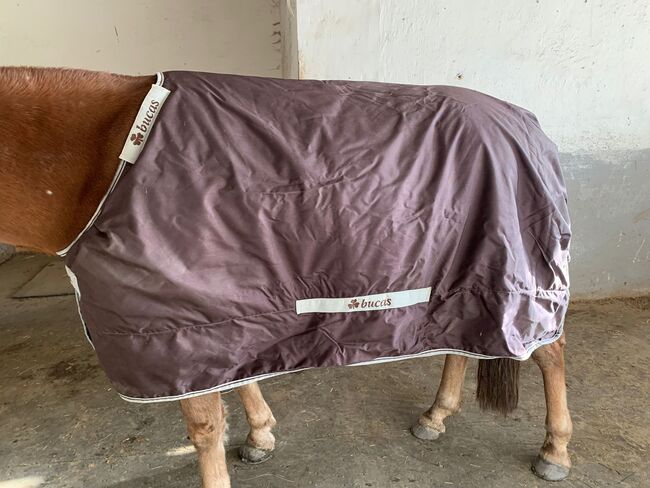 Bucas Smartex Extra 145cm, Bucas Smartex Extra, Michaela Angermair, Horse Blankets, Sheets & Coolers, Erding, Image 6
