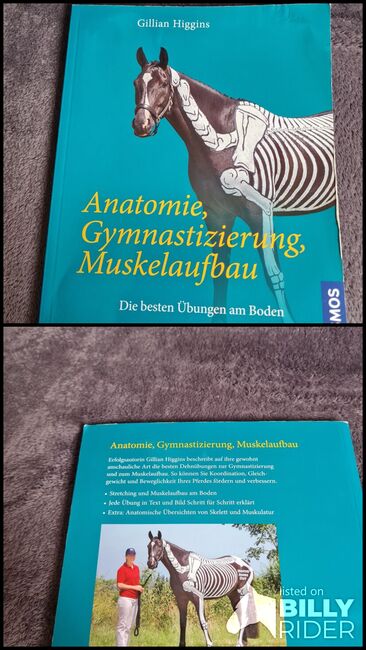 Buch  Anatomie pferd, Krämer  Buch , Marina Frank , Bücher, Ulm, Abbildung 3
