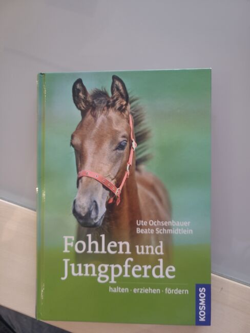 Buch Fohlen und Jungpferde, Kosmos, Carina, Bücher, Hagelstadt