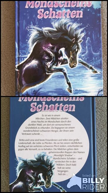 Buch "Mondscheins Schatten" - Sabine Giebken, Pony Club, Jenni // Polarstern, Bücher, Beeskow, Abbildung 3