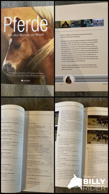 Buch „Pferde Mähne im Wind“, Tanja Hochhaus , Bücher, Schwarzenberg, Abbildung 5
