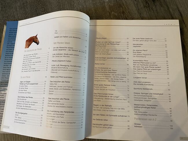 Buch „Pferde Mähne im Wind“, Tanja Hochhaus , Bücher, Schwarzenberg, Abbildung 3