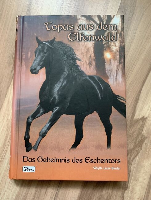 Buch „Topas aus dem Elfenwald“, Vanessa, Bücher, Nörten-Hardenberg 