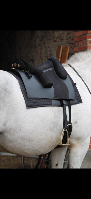 Bückeburger Schulsattel Deuber und Partner S2 verstellbare Kammer Ultraflexbaum, Deuber & Partner / Hifreitschule Bückeburg  Bückeburger Schulsattel, Victoria Hermesmann, Baroque Saddle, Mohrkirch