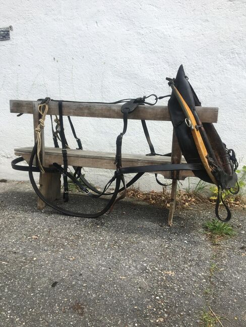 Bündner Kummet / Bündnergeschirr, Christina, Horse Harness, Trin Mulin