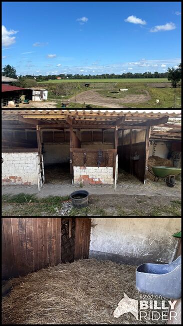 Aussenboxen zu vergeben - Nähe Berlin / Potsdam, Sandra , Horse Stables, Potsdam, Image 4
