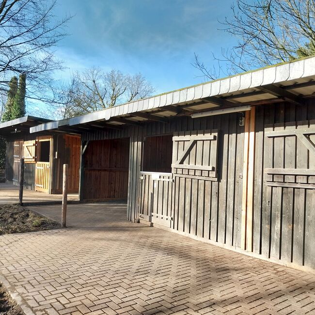 Außenboxen / Pferdeställe / Weidehütten, Catrin Otto, Horse Shelters & Tents, Heinsberg, Image 20