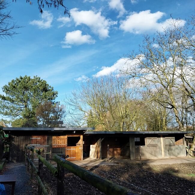 Außenboxen / Pferdeställe / Weidehütten, Catrin Otto, Horse Shelters & Tents, Heinsberg