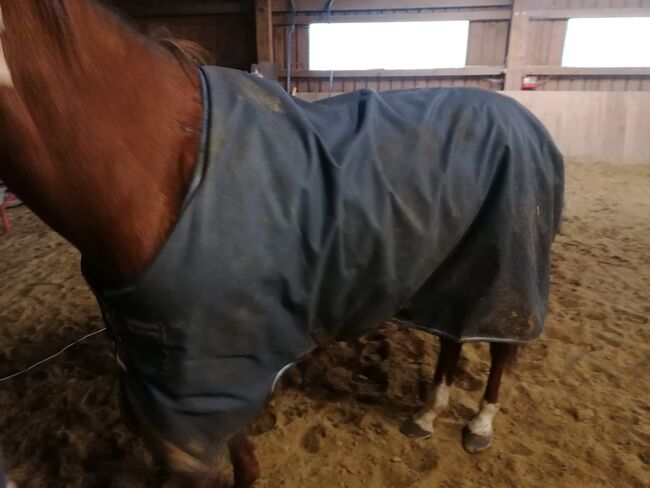 Outdoor Decke 145 100g Amigo, Amigo, Sunbeam Ranch! , Horse Blankets, Sheets & Coolers, Kaufbeuren , Image 4