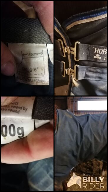 Outdoor Decke 145 100g Amigo, Amigo, Sunbeam Ranch! , Horse Blankets, Sheets & Coolers, Kaufbeuren , Image 5