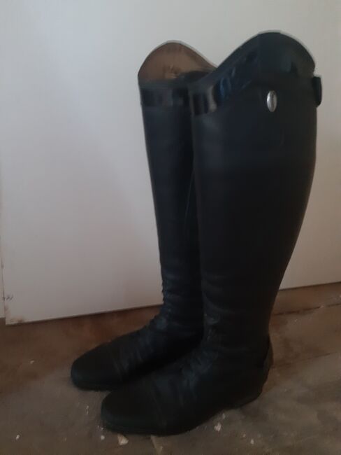 Busato Reitstiefel/ Springstiefel, Busato, Dania, Riding Boots, Ummendorf