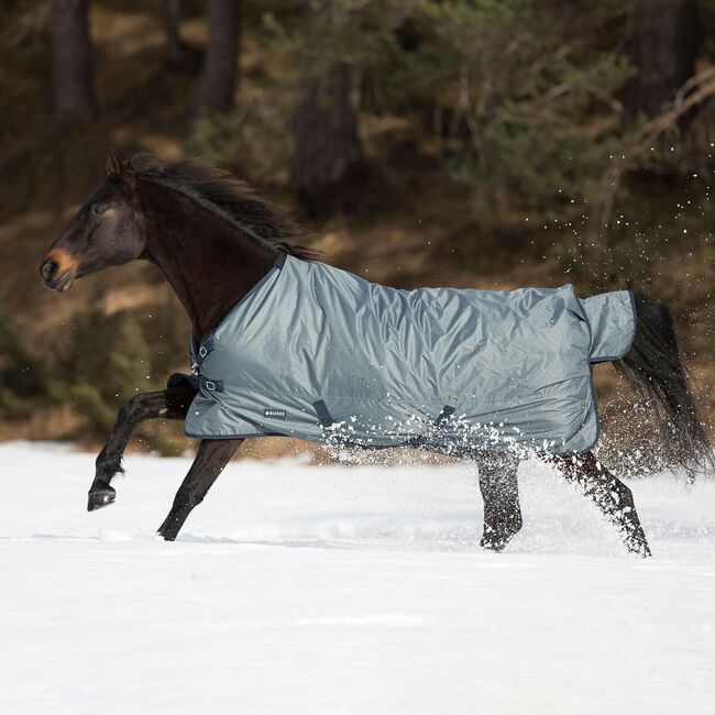 Busse 100g Winterdecke Outdoordecke Gr. 145cm, Busse, Moni, Horse Blankets, Sheets & Coolers, Attenkirchen