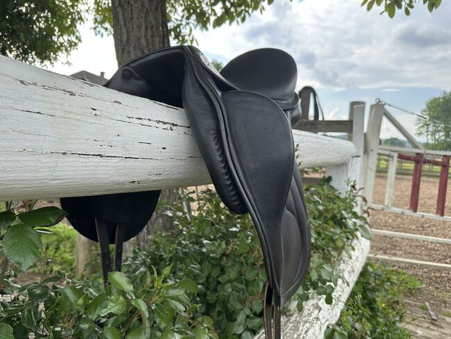 Busse Bozen Dressursattel 16,5, Busse Bozen, Lena-Marie, Dressage Saddle, Klagenfurt-Viktring, Image 2
