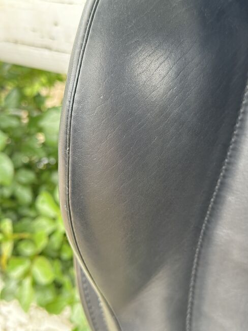 Busse Bozen Dressursattel 16,5, Busse Bozen, Lena-Marie, Dressage Saddle, Klagenfurt-Viktring, Image 9