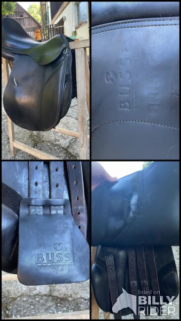 Busse Bristol Vielseitigkeitssattel, Busse Busse Bristol, Verona Heschl, All Purpose Saddle, Eibiswald , Image 9