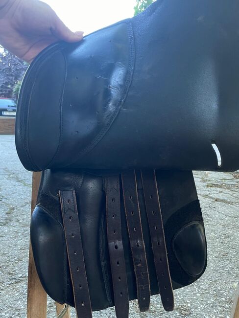 Busse Bristol Vielseitigkeitssattel, Busse Busse Bristol, Verona Heschl, All Purpose Saddle, Eibiswald , Image 3