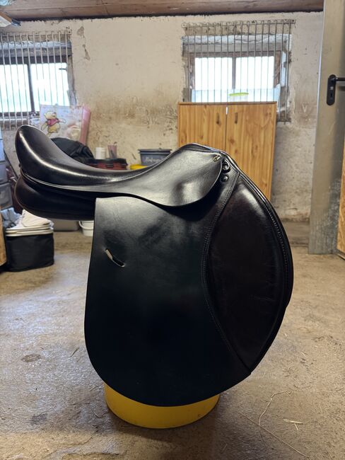 Busse Bristol VS 18 Zoll 30KW, Busse Bristol , Fabienne Schindler, All Purpose Saddle, Oberndorf , Image 2