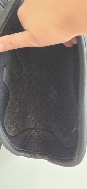 Busse Dressurgamaschen schwarz M & XL, Busse Dressage Pro, Jacqueline, Tendon Boots, Oststeinbek, Image 3