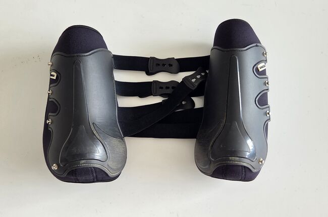 Busse Dressurgamaschen schwarz M & XL, Busse Dressage Pro, Jacqueline, Tendon Boots, Oststeinbek, Image 4