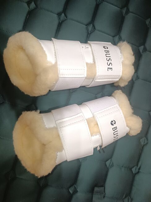 Busse Dressur Gamaschen S Weiß, Busse, Lena, Tendon Boots, Hütschenhausen