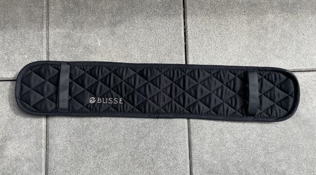 Busse Longiergurt, Busse, Vanessa Kampf, Lunging, Lohbe, Image 4