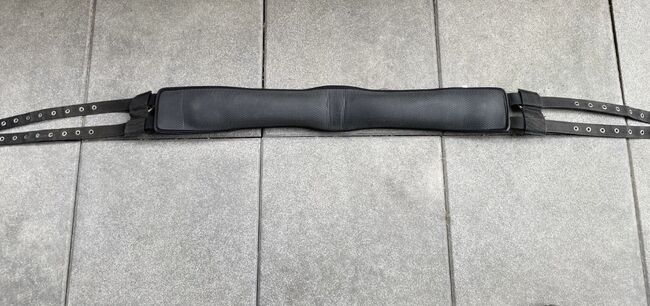 Busse Longiergurt, Busse, Vanessa Kampf, Lunging, Lohbe, Image 2