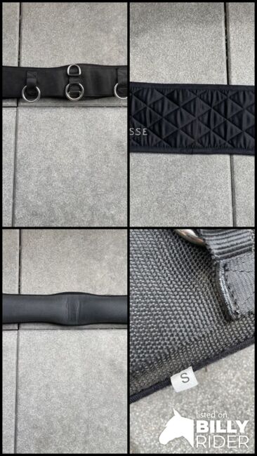 Busse Longiergurt, Busse, Vanessa Kampf, Lunging, Lohbe, Image 5