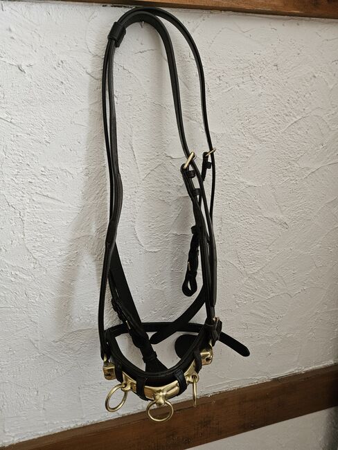 Busse Solibel Kappzaum Neu!, Busse Professional , Nina , Lunging, Rosenthal 