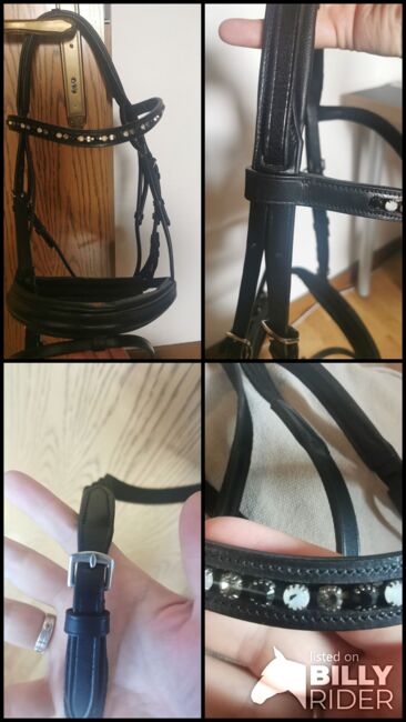 Busse/ Solibel Trense Comfort in WB, Busse/ Solibel Comfort, Katja , Bridles & Headstalls, Krefeld, Image 13