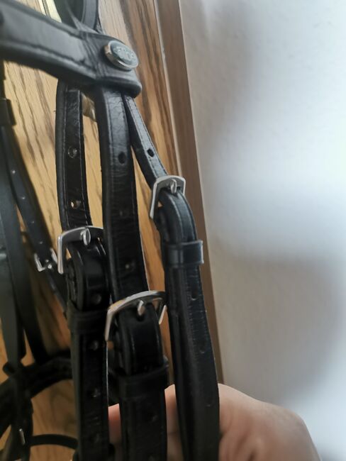 Busse/ Solibel Trense Comfort in WB, Busse/ Solibel Comfort, Katja , Bridles & Headstalls, Krefeld, Image 5