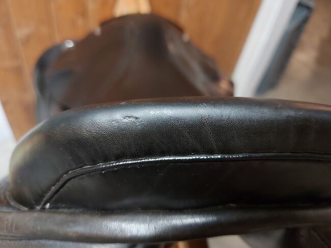 Busse Springsattel Toronto 17" 31er KW, Busse Toronto, V. Lohe, Jumping Saddle, Walsrode, Image 11