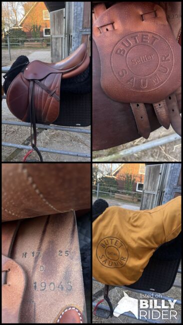 Butet Springsattel, Butet Saumur , Lisa Thies , Jumping Saddle, Gütersloh, Image 5