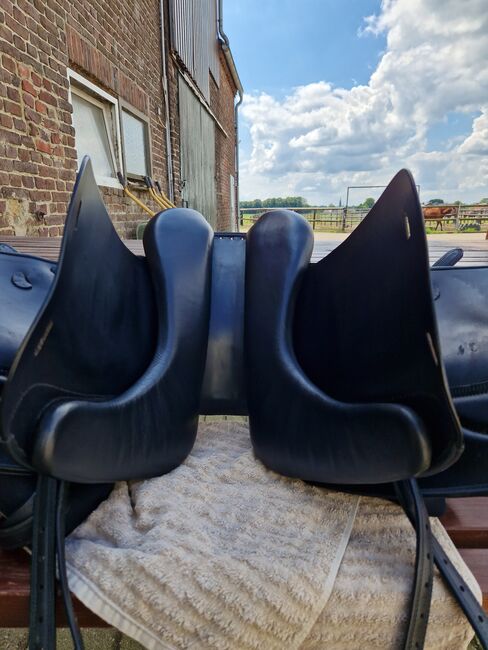 Butterfly Claudia Comfort 18 Zoll, Butterfly Claudia Comfort, Sina, Dressage Saddle, Schwalmtal, Image 4