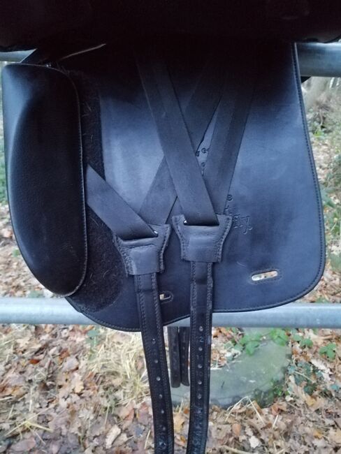 Butterfly Dressursattel Bethge, Butterfly  Bethge, Fischer , Dressage Saddle, Lünen, Image 4