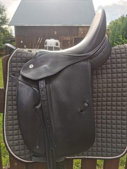 Butterfly Dressursattel claudia, Dt saddlery  Butterfly Dressursattel claudia, Daniela, Dressage Saddle, Weissenburg , Image 5