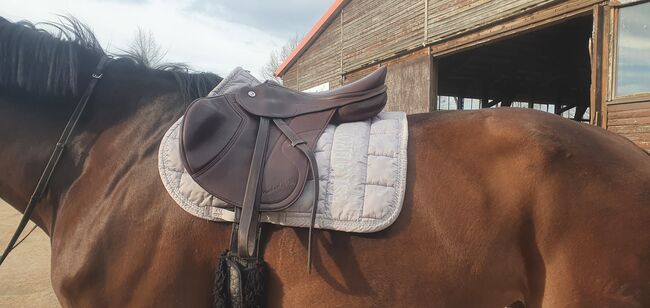 Butterfly Springsattel Michael Putz braun wie neu, Butterfly  Michael Putz Springsattel, Stephani Hoffmann , Jumping Saddle, Trossingen