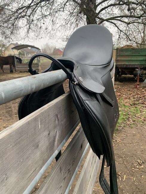 Butterfly Kostolany, Butterfly  Kostolany , Sandra Koch, Dressage Saddle, Perkam, Image 7