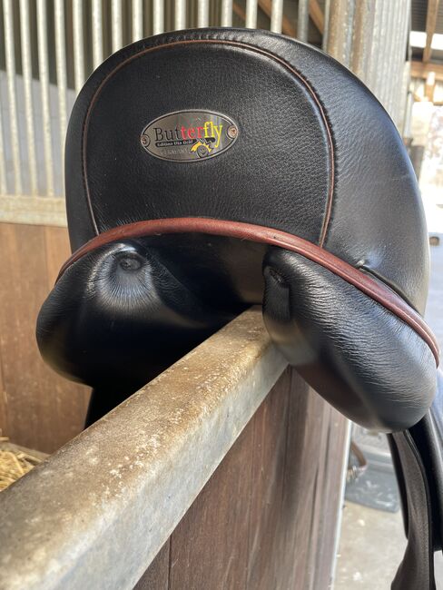 Butterfly Sattel Uta Gräf, DT Saddlery Uta Gräf, Nadine Riedel, Siodła ujeżdżeniowe, Bremen