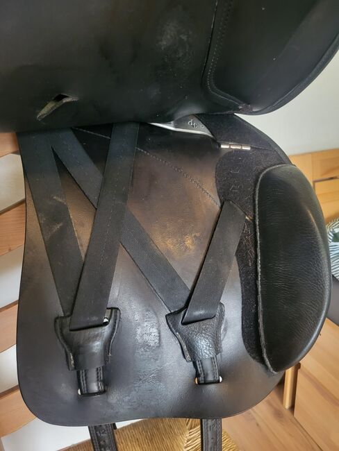 Butterfly Sophie 18", Butterfly Sophie, Denise Ellers, All Purpose Saddle, Ascheberg, Image 6