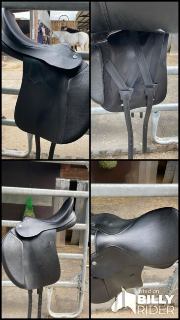 Butterfly Sophie vs 18zoll, Butterfly  Sophie , Sara weratschnig , All Purpose Saddle, Hohenems , Image 5