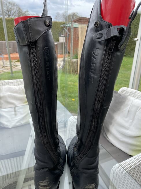 Ariat nitro Reitstiefel, Ariat, Dau-Schmidt, Oficerki jeździeckie, Neuenhaus , Image 4