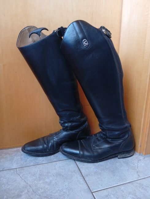 Cavallo Linus Jump Reitstiefel in Normalschaft Größe 39, Franzi, Oficerki jeździeckie, Schwangau