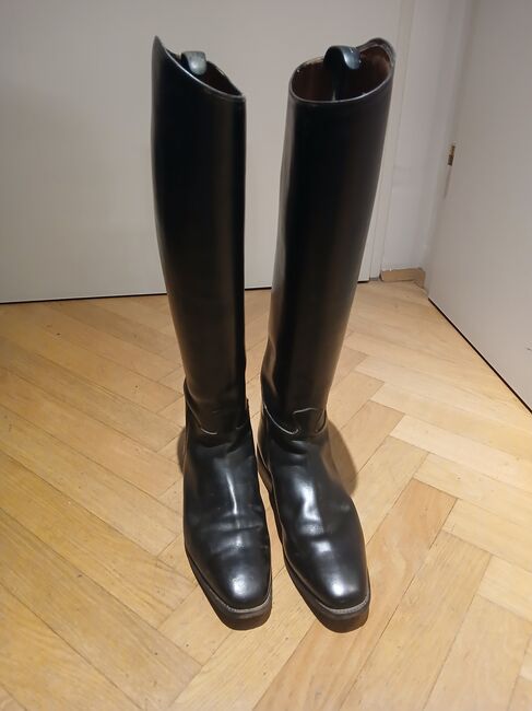 Reitstiefel, Herren, Gr 44, Thomas, Oficerki jeździeckie, Wien