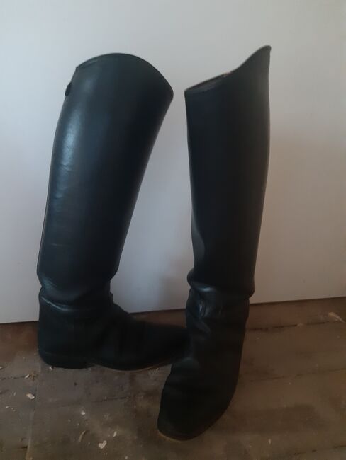 Dressurstiefel/ Reitstiefel Größe 39, Regent, Dania, Oficerki jeździeckie, Ummendorf, Image 3