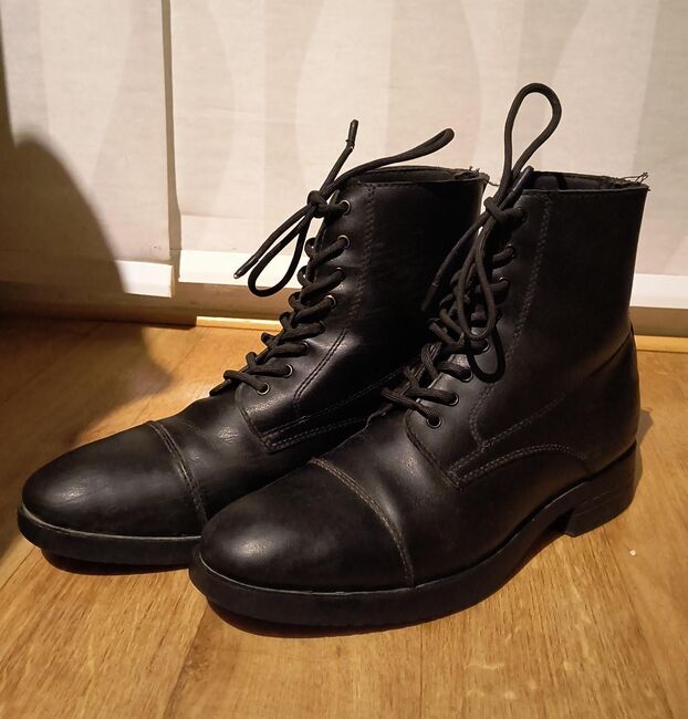 Steeds Reitstiefeletten Schnürstiefeletten schwarz, Steeds SYLKA Schnürstiefelette Rookie lll (schwarz), Antonia Hahne, Sztyblety jeździeckie, Anröchte 